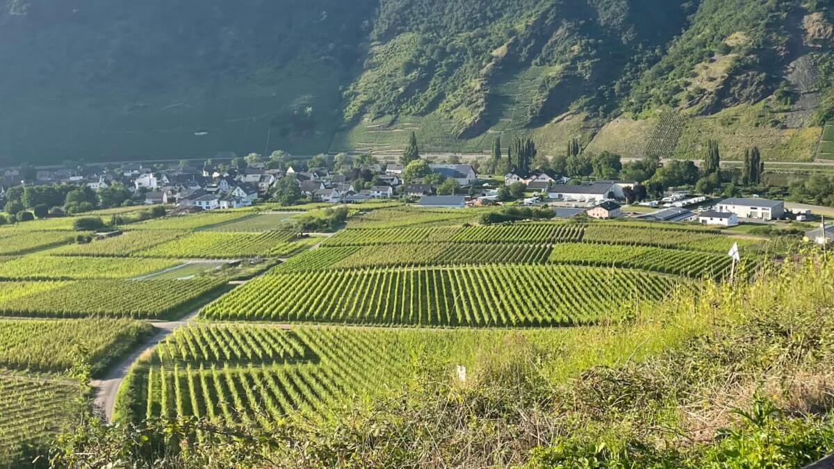 Mosel-Kurzwoche IMG 6751