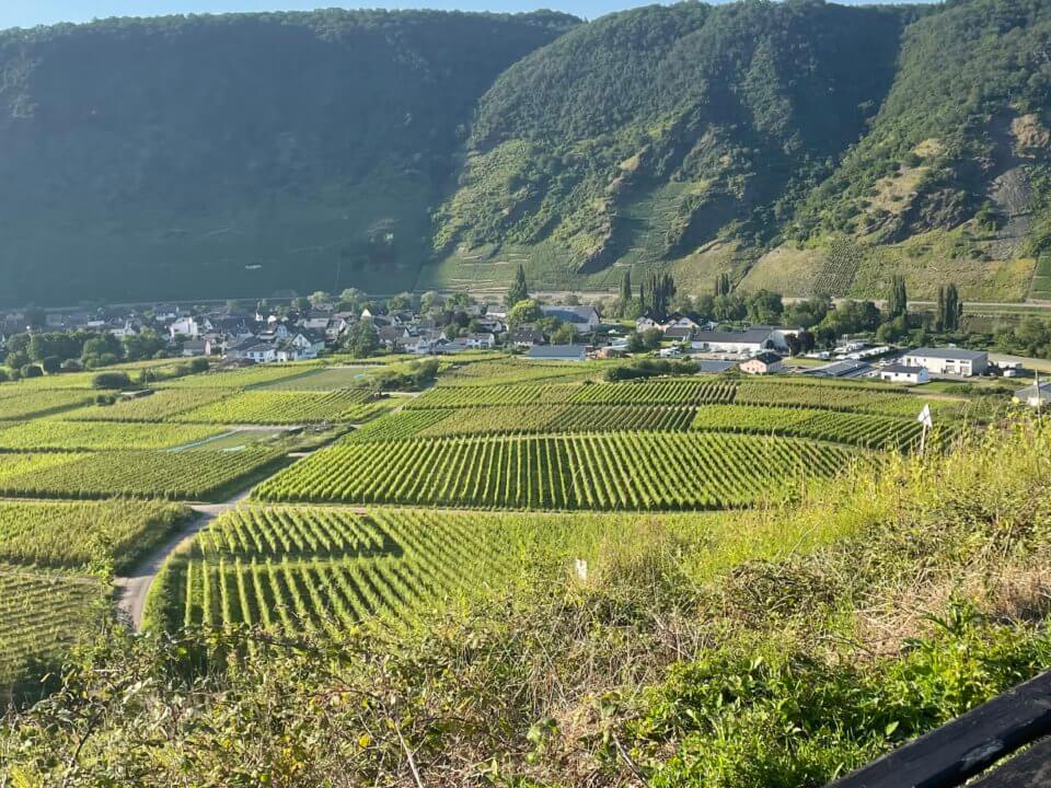 Mosel-Kurzwoche IMG 6751